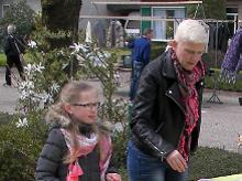 vlooienmert