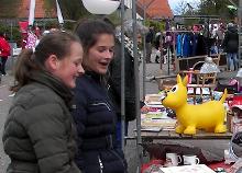 vlooienmert